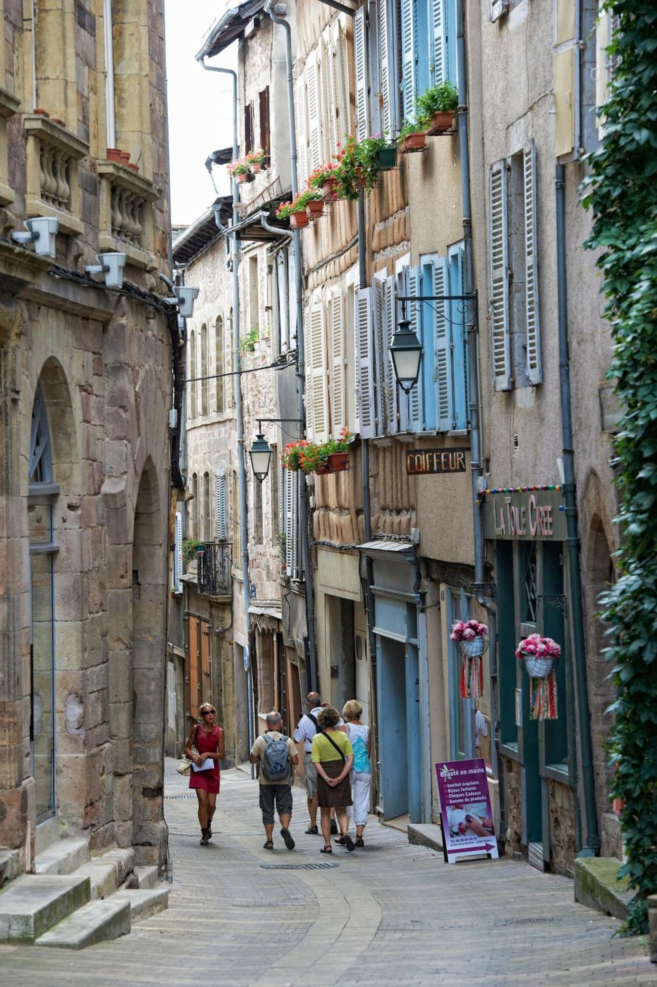 La Maison Bleue, Un Emplacement De Choix A Rodez Buitenkant foto